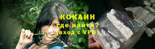 прущие грибы Нягань