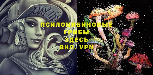 прущие грибы Нягань
