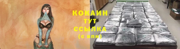 ГАЛЛЮЦИНОГЕННЫЕ ГРИБЫ Няндома