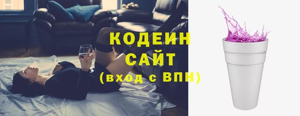 ГАЛЛЮЦИНОГЕННЫЕ ГРИБЫ Няндома