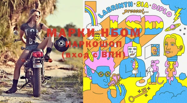 ГАЛЛЮЦИНОГЕННЫЕ ГРИБЫ Няндома
