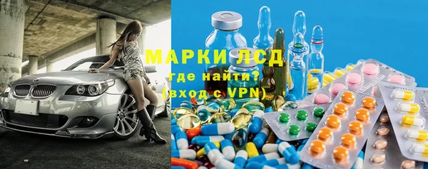 ГАЛЛЮЦИНОГЕННЫЕ ГРИБЫ Няндома