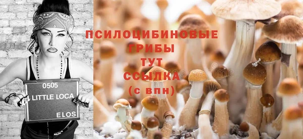 ГАЛЛЮЦИНОГЕННЫЕ ГРИБЫ Няндома