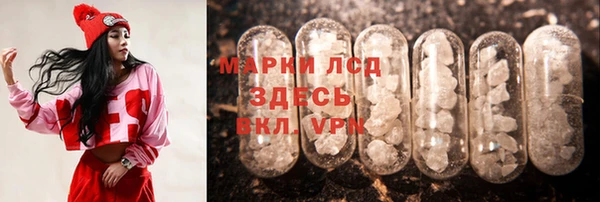 прущие грибы Нягань