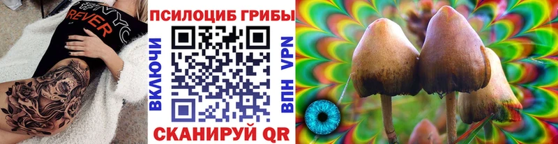 Псилоцибиновые грибы мухоморы  даркнет наркотические препараты  Каневская  закладки 