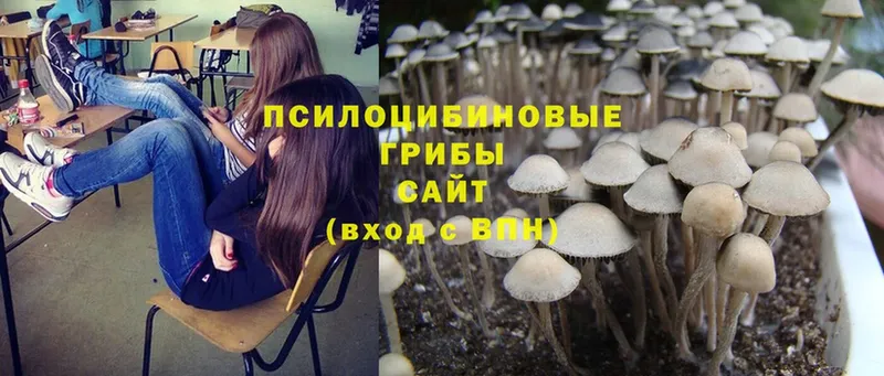 Галлюциногенные грибы Magic Shrooms  Каневская 